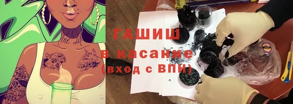 шишки Горно-Алтайск