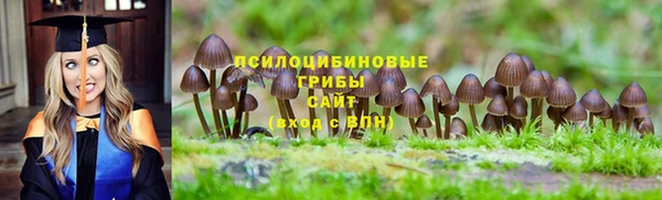 сатива Горнозаводск