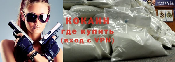 шишки Горно-Алтайск