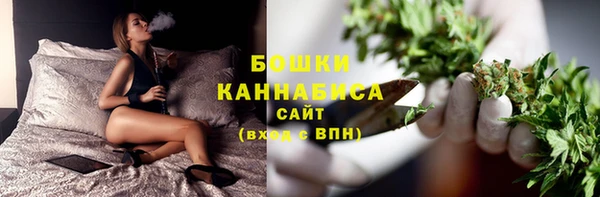 шишки Горно-Алтайск