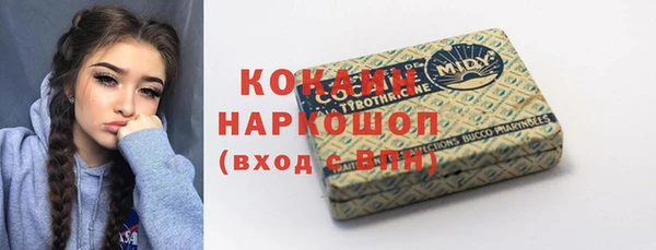 шишки Горно-Алтайск