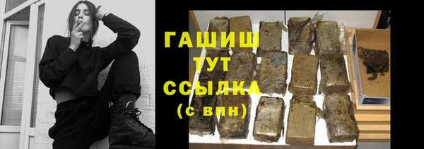 шишки Горно-Алтайск