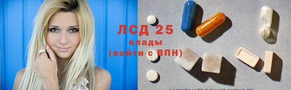 шишки Горно-Алтайск