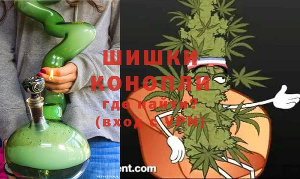 сатива Горнозаводск