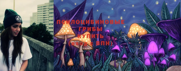 шишки Горно-Алтайск