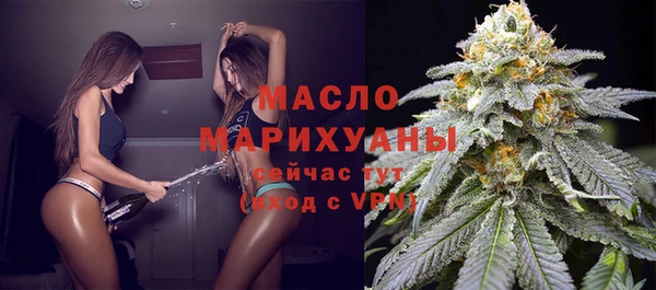 шишки Горно-Алтайск