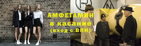 шишки Горно-Алтайск