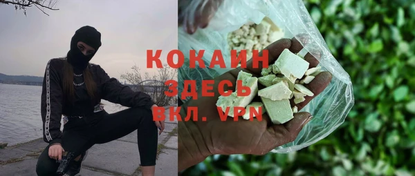 шишки Горно-Алтайск